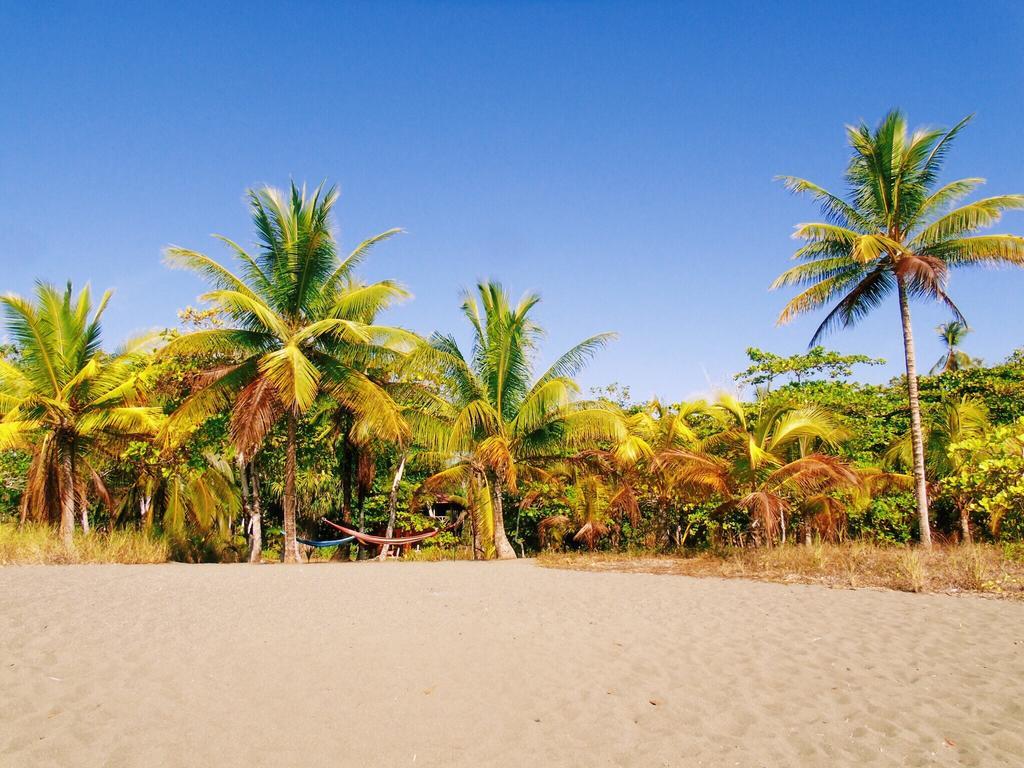 Punta Preciosa Puerto Jiménez Exterior photo